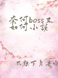 奈何boss又如何小说