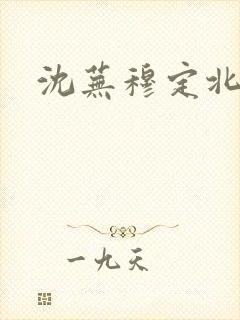 沈芜穆定北小说