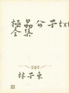 极品公子txt全集