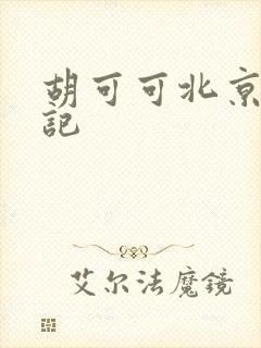 胡可可北京成功记