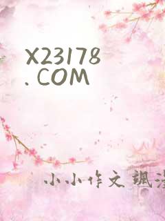 X23178 . COM