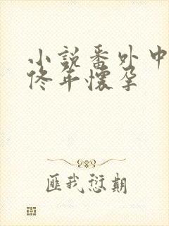 小说番外中结局佟年怀孕