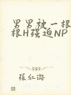 男男被一根又一根H强迫NP