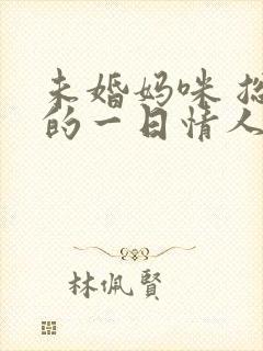 未婚妈咪 总裁的一日情人