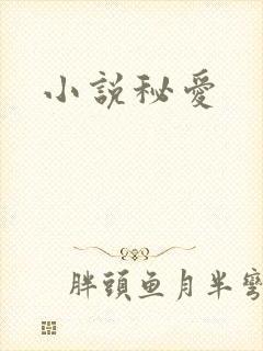小说秘爱