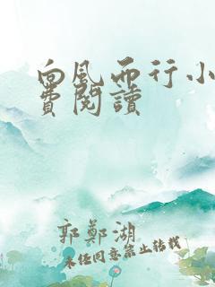 向风而行小说免费阅读