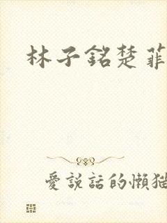 林子铭楚菲小说