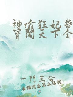 神偷狂妃带着宝宝闯天下全文免费阅读
