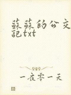 苏苏的公交车日记txt