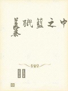 美职篮之中国风暴