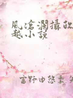 风沧澜摄政王穿越小说