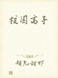 校园高手