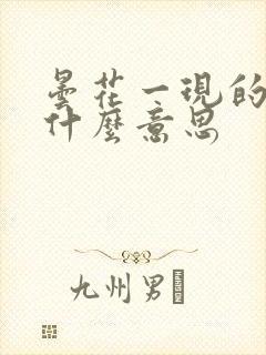 昙花一现的现是什么意思