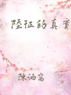 陆征的真实身份