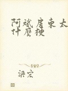 阿斌房东太太是什么梗