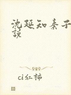 沈延知秦子卿小说