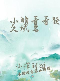 小明看看发布永久域名