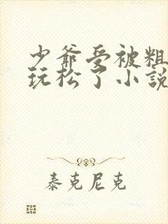 少爷受被粗汉H玩松了小说