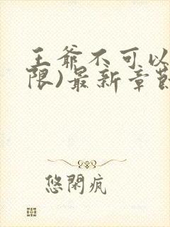 王爷不可以!(限)最新章节