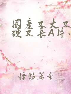 国产又大又粗又硬又长A片小说