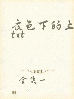 夜色下的上海滩txt