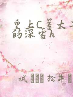 皇上C着太子妃的深处h