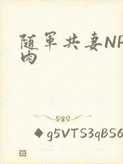 随军共妻NP纯肉