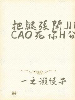 把腿张开JI巴CAO死你H公园