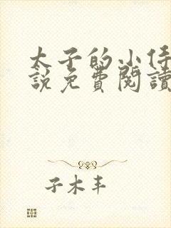 太子的小侍妾小说免费阅读全文