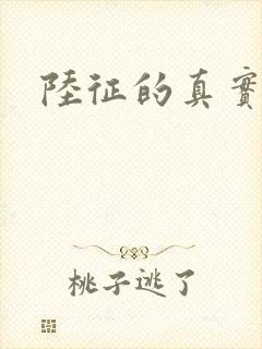 陆征的真实身份