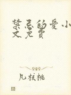 禁忌的爱小说全文免费