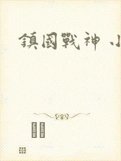 镇国战神 小说