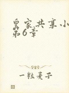 皇家共享小公主第6章