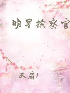 明星检察官小说