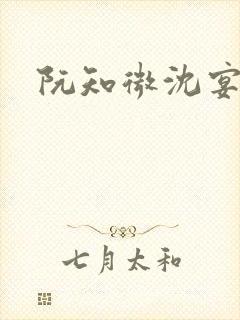 阮知微沈宴电竞