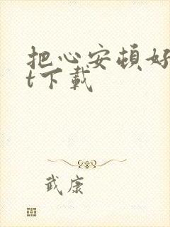 把心安顿好txt下载