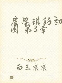 房思琪的初恋乐园 第3章