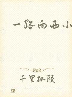 一路向西小说