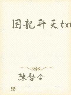 困龙升天txt