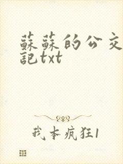 苏苏的公交车日记txt