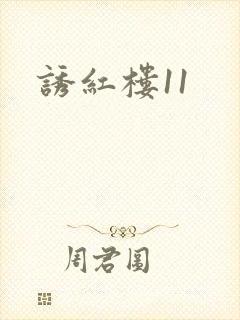诱红楼11