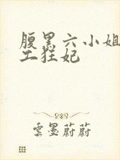 腹黑六小姐 特工狂妃