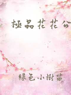 极品花花公子
