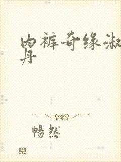 内裤奇缘淑芬小丹