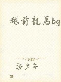 越前龙马bg