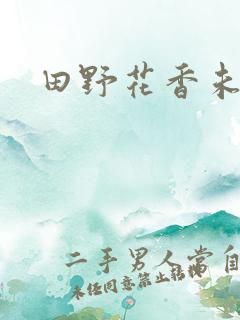 田野花香未删节