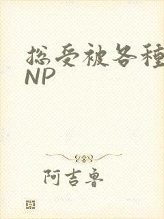 总受被各种姿势NP