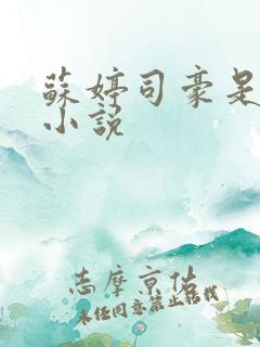 苏婷司豪是什么小说