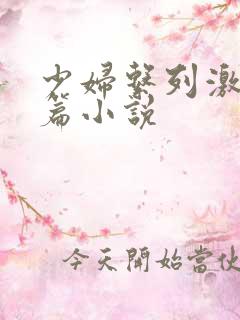 少妇系列激情短篇小说