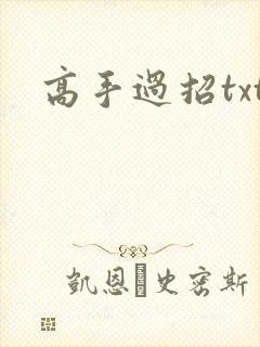 高手过招txt